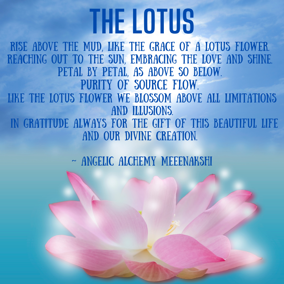 The Lotus